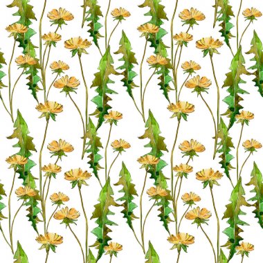 Kır çiçekleri çiçek botanik çiçekleri. Yabani bahar yaprağı kır çiçeği. Suluboya illüstrasyon seti. Suluboya çizim moda aquarelle. Kusursuz arka plan deseni. Kumaş duvar kağıdı baskı doku.