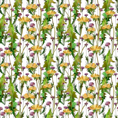 Kır çiçekleri çiçek botanik çiçekleri. Yabani bahar yaprağı kır çiçeği. Suluboya illüstrasyon seti. Suluboya çizim moda aquarelle. Kusursuz arka plan deseni. Kumaş duvar kağıdı baskı doku.