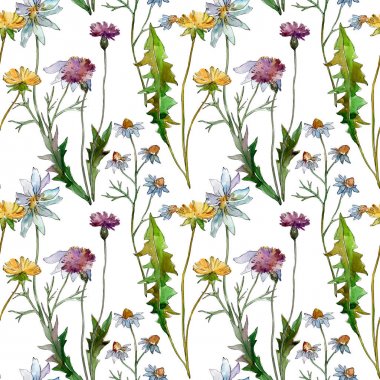 Kır çiçekleri çiçek botanik çiçekleri. Yabani bahar yaprağı kır çiçeği. Suluboya illüstrasyon seti. Suluboya çizim moda aquarelle. Kusursuz arka plan deseni. Kumaş duvar kağıdı baskı doku.