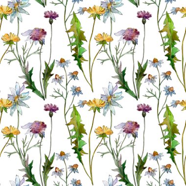 Wildflowers floral botanical flowers. Wild spring leaf wildflower. Watercolor illustration set. Watercolour drawing fashion aquarelle. Seamless background pattern. Fabric wallpaper print texture. clipart