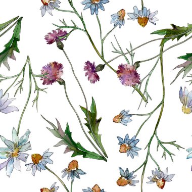 Kır çiçekleri çiçek botanik çiçekleri. Yabani bahar yaprağı kır çiçeği. Suluboya illüstrasyon seti. Suluboya çizim moda aquarelle. Kusursuz arka plan deseni. Kumaş duvar kağıdı baskı doku.