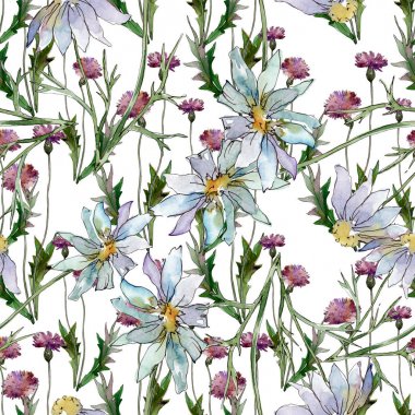 Kır çiçekleri çiçek botanik çiçekleri. Yabani bahar yaprağı kır çiçeği. Suluboya illüstrasyon seti. Suluboya çizim moda aquarelle. Kusursuz arka plan deseni. Kumaş duvar kağıdı baskı doku.