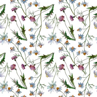 Kır çiçekleri çiçek botanik çiçekleri. Yabani bahar yaprağı kır çiçeği. Suluboya illüstrasyon seti. Suluboya çizim moda aquarelle. Kusursuz arka plan deseni. Kumaş duvar kağıdı baskı doku.