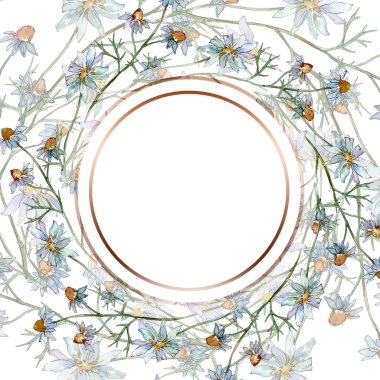 Kır çiçekleri çiçek botanik çiçekleri. Yabani bahar yaprağı kır çiçeği izole. Suluboya arka plan illüstrasyon seti. Suluboya çizim moda aquarelle izole. Çerçeve kenarlık süs karesi.