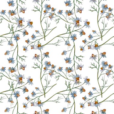 Kır çiçekleri çiçek botanik çiçekleri. Yabani bahar yaprağı kır çiçeği. Suluboya illüstrasyon seti. Suluboya çizim moda aquarelle. Kusursuz arka plan deseni. Kumaş duvar kağıdı baskı doku.