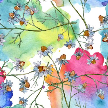 Kır çiçekleri çiçek botanik çiçekleri. Yabani bahar yaprağı kır çiçeği. Suluboya illüstrasyon seti. Suluboya çizim moda aquarelle. Kusursuz arka plan deseni. Kumaş duvar kağıdı baskı doku.
