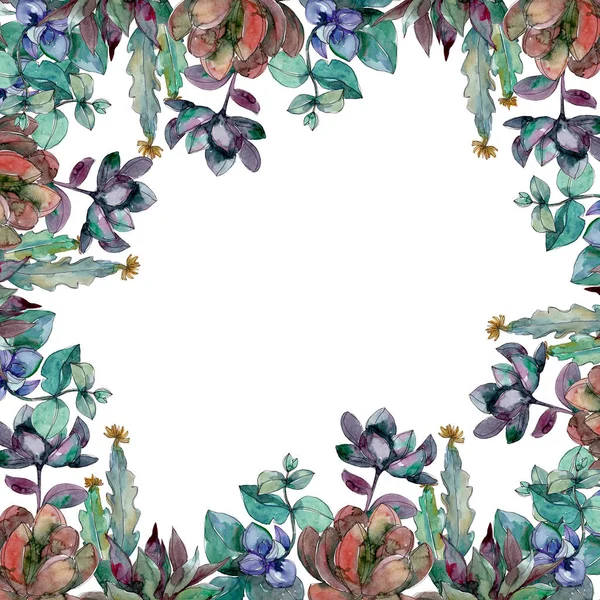 Succulents floral botanical flowers. Wild spring leaf wildflower isolated. Watercolor background illustration set. Watercolour drawing fashion aquarelle isolated. Frame border ornament square.