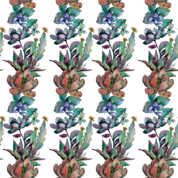 Succulents floral botanical flowers. Wild spring leaf wildflower. Watercolor illustration set. Watercolour drawing fashion aquarelle. Seamless background pattern. Fabric wallpaper print texture.