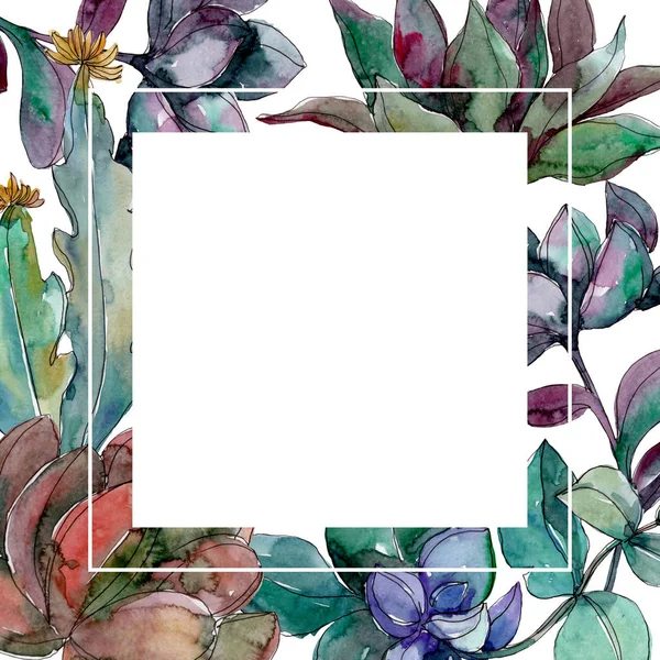 多肉植物の植物の花 野生の春の葉の野生の花が孤立しました 水彩背景イラストセット 水彩画ファッションアクアレル孤立 フレームボーダーオーナメント正方形 — ストック写真