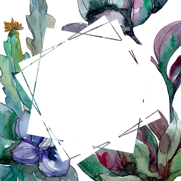 Succulents Floral Botanical Flowers Wild Spring Leaf Wildflower Isolated Watercolor — Stock Photo, Image