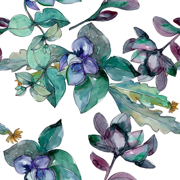 Vetplanten Floral Botanische Bloemen Wilde Lente Blad Wildflower Aquarel Illustratie — Stockfoto