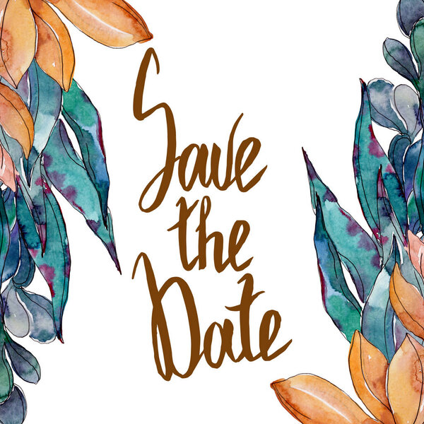 Суккуленты цветочные ботанические цветы. Дикий весенний цветок изолирован. Набор акварельных фонов. Акварель акварель акварель изолирована. Граничный орнамент
.