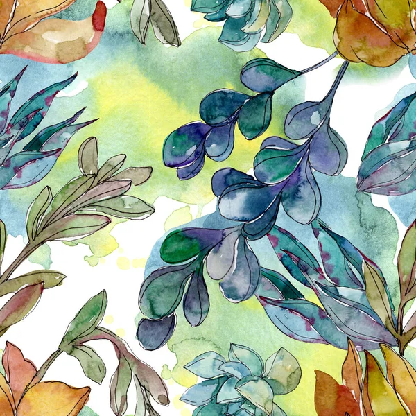 Sukulenti Květinové Botanické Květy Divoké Květinové Listy Akvarel Obrázku Akvarel — Stock fotografie
