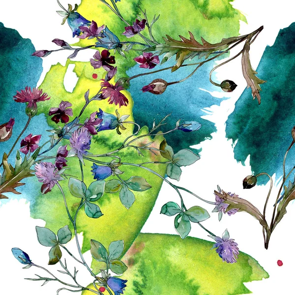 Kır çiçekleri çiçek botanik çiçekleri. Suluboya arka plan illüstrasyon seti. Kesintisiz arka plan deseni.
