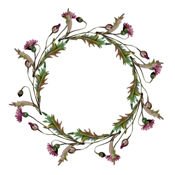 Wildflowers floral botanical flowers. Watercolor background illustration set. Frame border ornament square. — Stock Photo, Image
