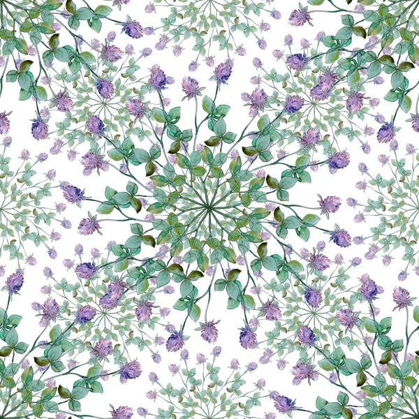 Αγριολούλουδα λουλουδιών βοτανικής. Σύνολο εικονογράφησης φόντου. Ομαλή μοτίβο φόντου. — Φωτογραφία Αρχείου