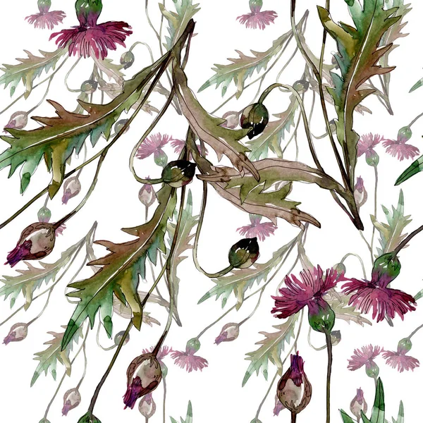 Wildflowers floral botanical flowers. Watercolor background illustration set. Seamless background pattern. — Stock Photo, Image