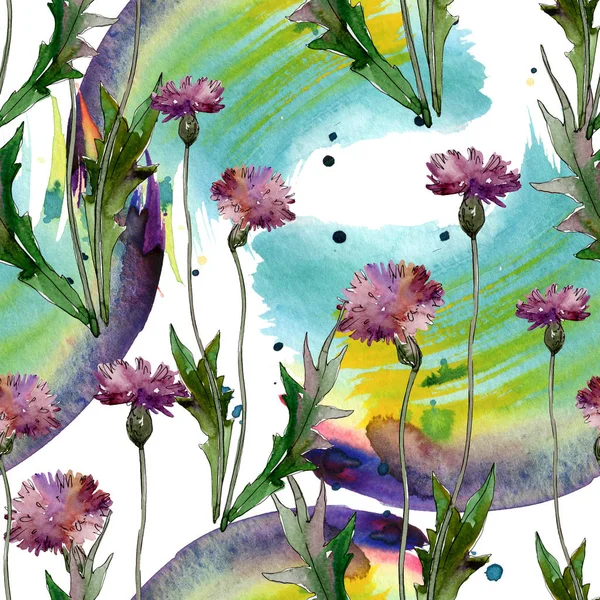 야생화 꽃입니다 야생화입니다 수채화 일러스트 세트입니다 수채화 그리기 아쿠아렐 원활한 — 스톡 사진