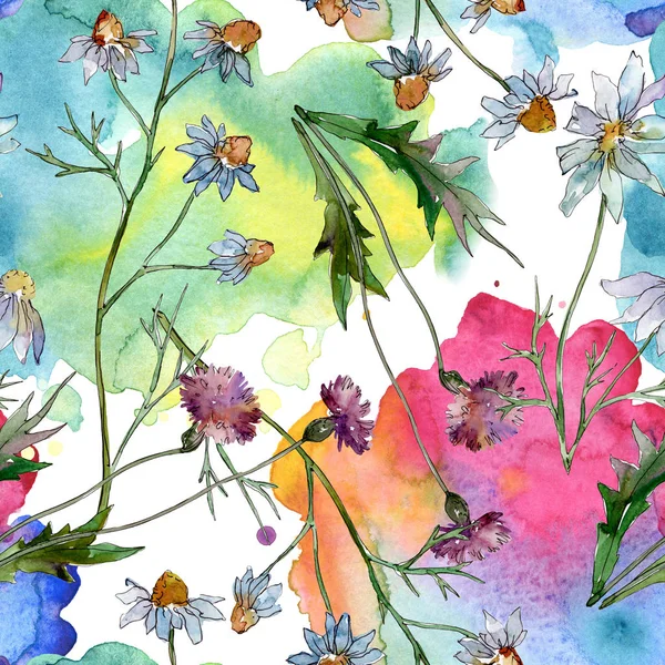 Wildflowers Blommiga Botaniska Blommor Wild Spring Leaf Wildflower Akvarell Illustration — Stockfoto