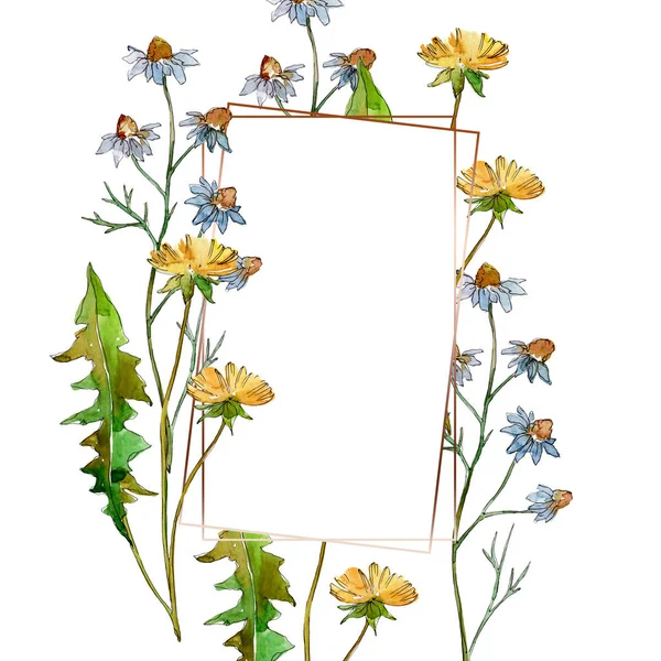 ワイルドフラワーの花の植物の花 野生の春の葉の野生の花が孤立しました 水彩背景イラストセット 水彩画ファッションアクアレル孤立 フレームボーダーオーナメント正方形 — ストック写真