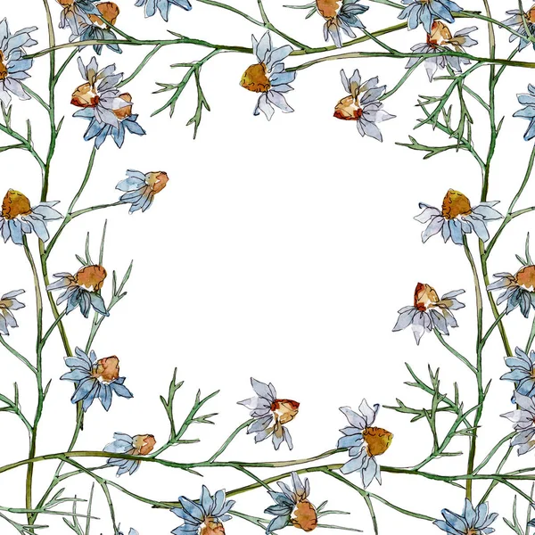 Wildflowers Blommiga Botaniska Blommor Wild Spring Leaf Wildflower Isolerad Akvarell — Stockfoto