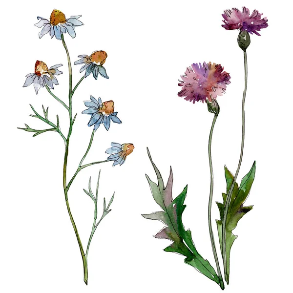 Květinové Květiny Divoké Květinové Listí Vodný Obrázek Pozadí Barevný Akvarel — Stock fotografie