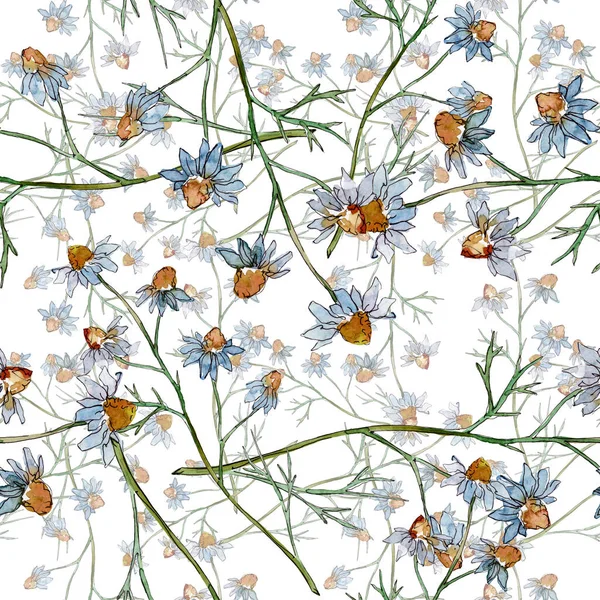 Αγριολούλουδα Λουλουδιών Βοτανικής Άγριο Λουλούδι Φύλλων Ελατηρίου Σετ Εικονογράφησης Ακουαρέλεςζωγραφική — Φωτογραφία Αρχείου