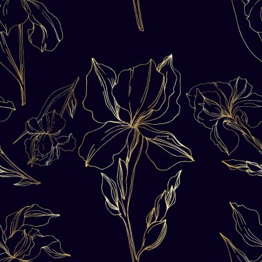 Vektör Iris çiçek botanik çiçekler. Siyah ve beyaz oyulmuş mürekkep sanatı. Kesintisiz arka plan deseni.