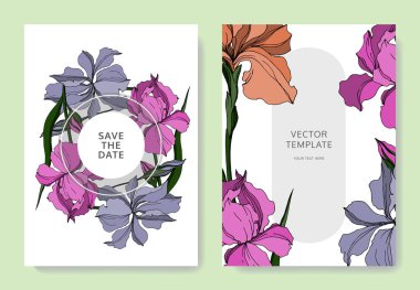 Vektör Iris çiçek botanik çiçekler. Siyah ve beyaz oyulmuş mürekkep sanatı. Düğün arka plan kartı dekoratif sınır.