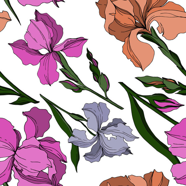 Vector Iris floral botanical flowers. Black and white engraved ink art. Seamless background pattern.