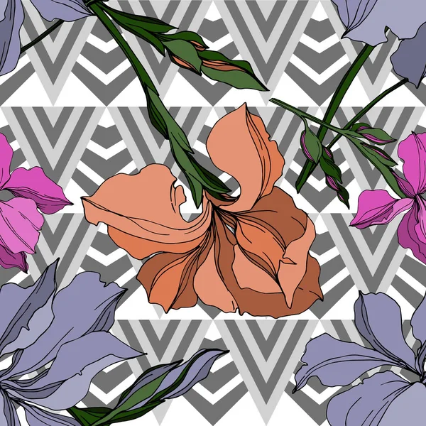 Vector Iris flores botânicas florais. Tinta gravada a preto e branco. Padrão de fundo sem costura . —  Vetores de Stock