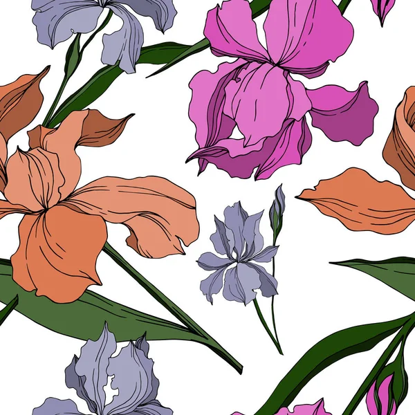 Vector Iris flori florale botanice. Artă de cerneală gravată alb-negru. Model de fundal fără sudură . — Vector de stoc