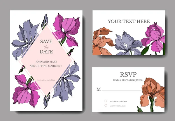 Vector Iris flores botánicas florales. Tinta grabada en blanco y negro. Boda tarjeta de fondo borde decorativo . — Vector de stock