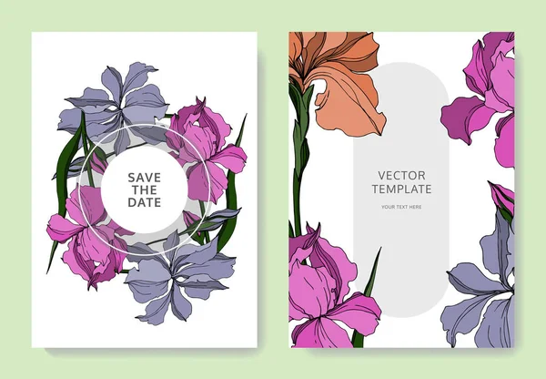 Vektor Iris bunga botani bunga. Seni tinta berukiran hitam dan putih. Batas dekoratif kartu latar pernikahan . - Stok Vektor