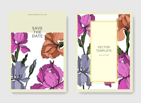Vector Iris flores botánicas florales. Tinta grabada en blanco y negro. Boda tarjeta de fondo borde decorativo . — Archivo Imágenes Vectoriales
