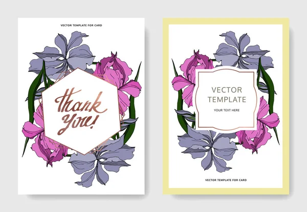 Vector Iris flores botánicas florales. Tinta grabada en blanco y negro. Boda tarjeta de fondo borde decorativo . — Vector de stock