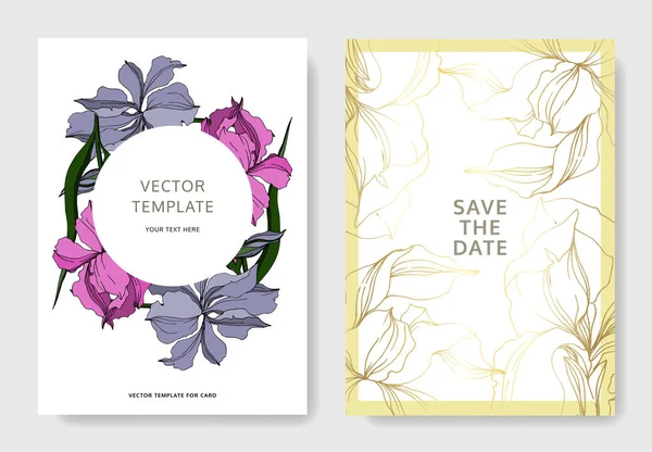 Vector Iris flores botânicas florais. Tinta gravada a preto e branco. Casamento cartão de fundo borda decorativa . — Vetor de Stock