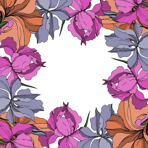เวกเตอร์ไอริส ดอกไม้พฤกษศาสตร์ ศิลปะหมึกแกะสลักสีดําและขาว สี่เหลี่ยมเครื่องประดับขอบกรอบ . — ภาพเวกเตอร์สต็อก