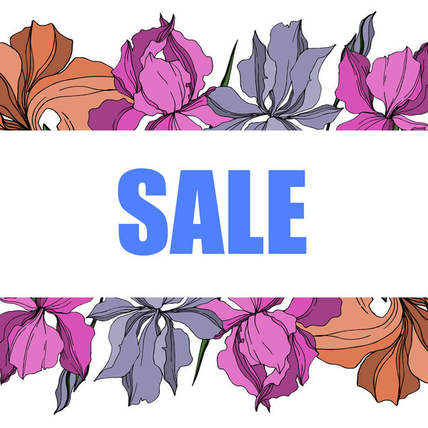 Векторные ирис цветочные ботанические цветы. Черно-белый рисунок чернил. Граничный орнамент
.