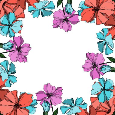 Vektör Keten çiçek botanik çiçekler. Siyah ve beyaz oyulmuş mürekkep sanatı. Çerçeve kenarlık süs karesi.