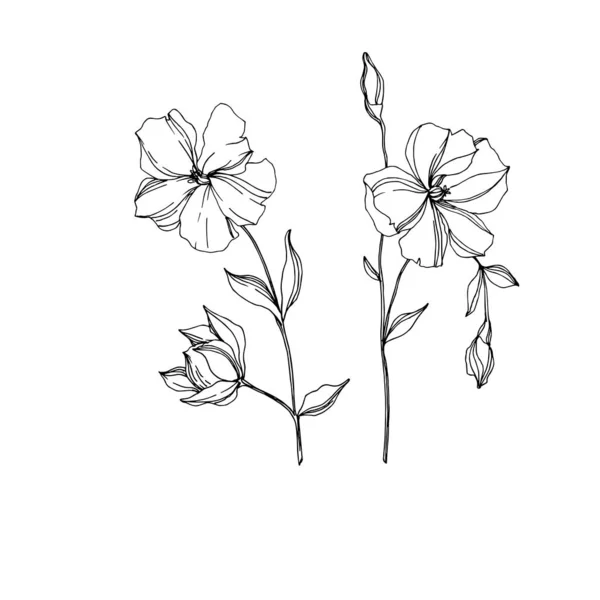 Vector vlas bloemen botanische bloemen. Zwart-wit gegraveerd Ink Art. Geïsoleerde vlas illustratie element. — Stockvector