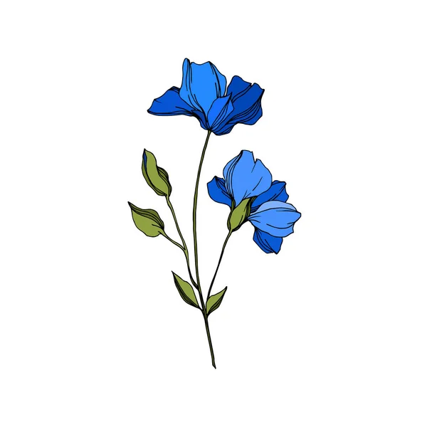 Διάνυσμα λινάρι floral βοτανική λουλούδια. Μπλε και πράσινο χαραγμένο μελάνι τέχνης. Απομονωμένο στοιχείο απεικόνισης λίνου. — Διανυσματικό Αρχείο
