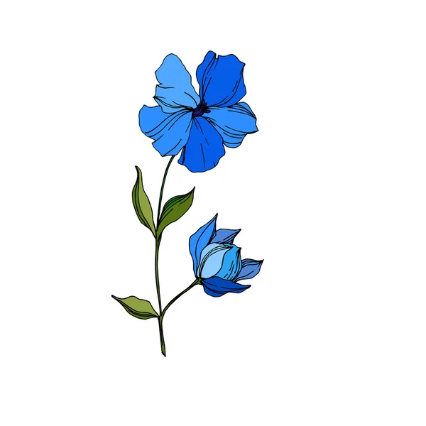 Vektor lin blommiga botaniska blommor. Blå och grön graverad bläck konst. Isolerad lin illustration element. — Stock vektor