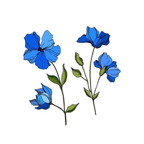 Vector vlas bloemen botanische bloemen. Blauwe en groene gegraveerde inkt kunst. Geïsoleerde vlas illustratie element. — Stockvector