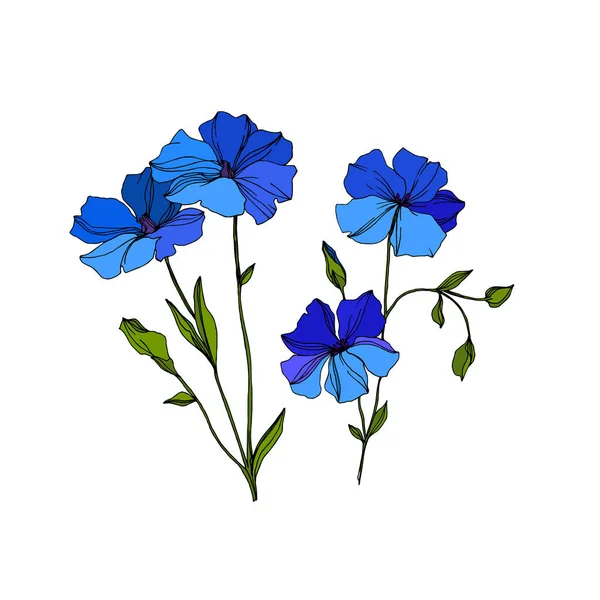 Vector Flax цветочные ботанические цветы. Синие и зеленые гравированные чернила. Изолированный льняной иллюстрационный элемент . — стоковый вектор