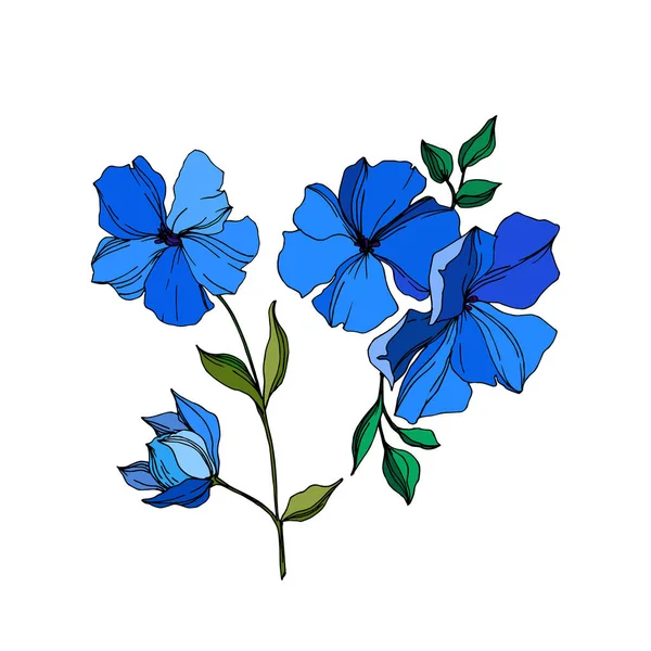 Vektor len virágos botanikai virágok. Kék és zöld gravírozott tinta művészet. Az elszigetelt len illusztrációs elem. — Stock Vector