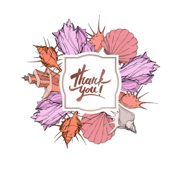 Vektör Yaz plaj deniz kabuğu tropikal unsurlar. Oyulmuş mürekkep sanatı. Çerçeve kenarlık süs karesi.