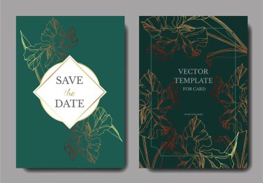 Vektör Iris çiçek botanik çiçekler. Siyah ve beyaz oyulmuş mürekkep sanatı. Düğün arka plan kartı dekoratif sınır.