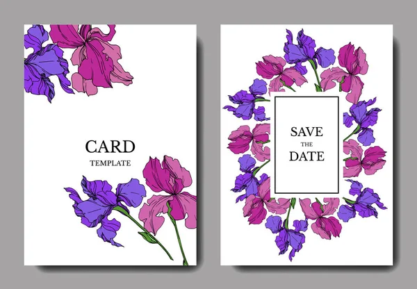 Vektor Iris virágos botanikai virágok. Fekete-fehér vésett tinta Art. Esküvői háttér-kártya dekoratív határon. — Stock Vector