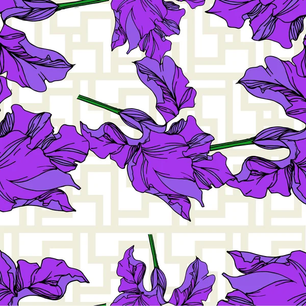 Vecteur Iris fleurs botaniques florales. Encre gravée en noir et blanc. Modèle de fond sans couture . — Image vectorielle
